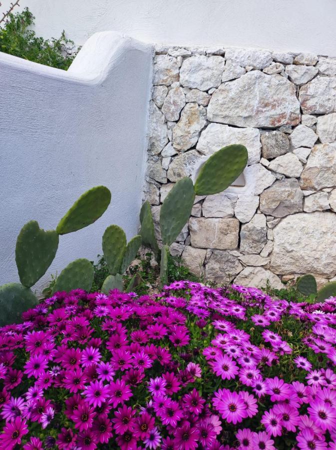 Dimora Mediterranea Mattinata Ngoại thất bức ảnh