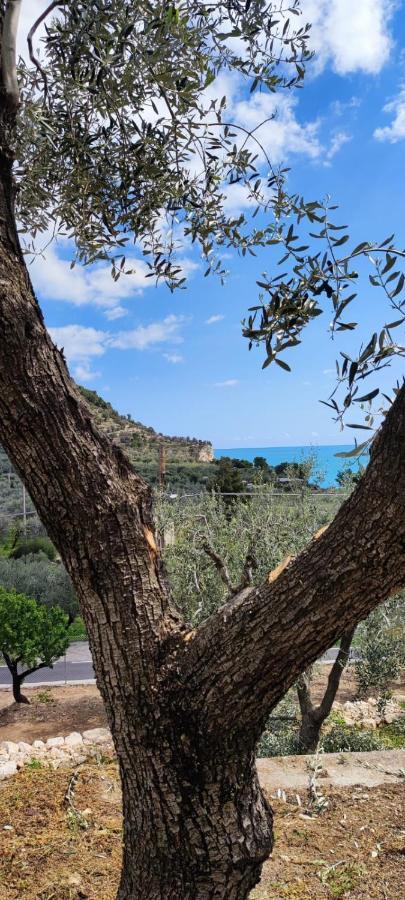Dimora Mediterranea Mattinata Ngoại thất bức ảnh