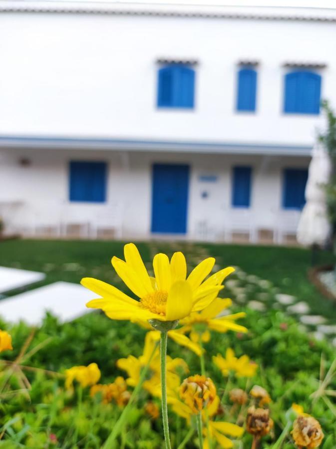 Dimora Mediterranea Mattinata Ngoại thất bức ảnh
