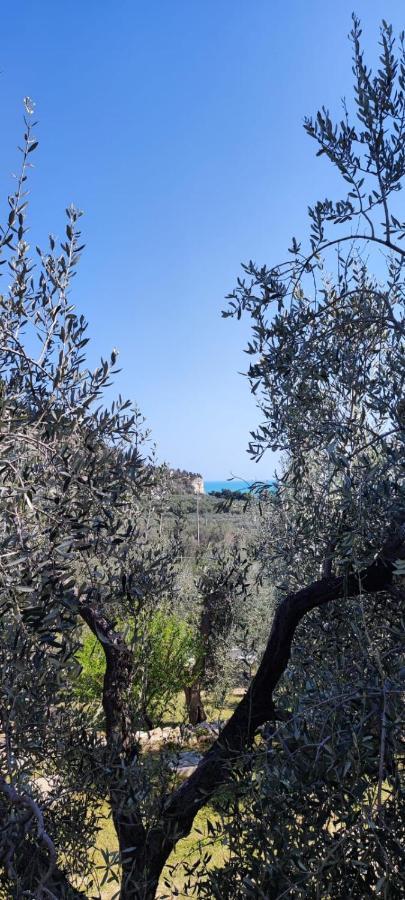 Dimora Mediterranea Mattinata Ngoại thất bức ảnh